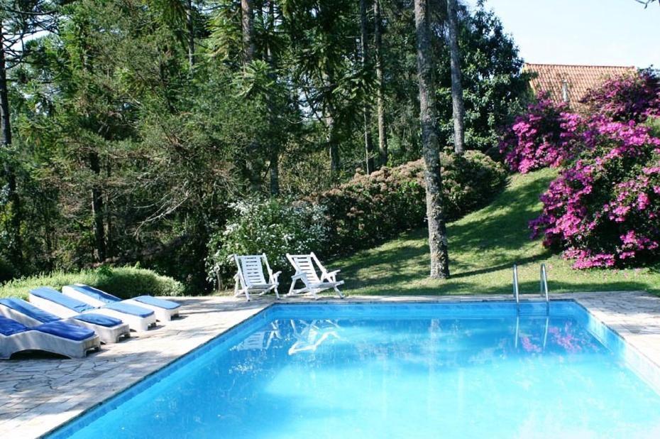 Passaredo